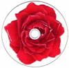 Clear CD